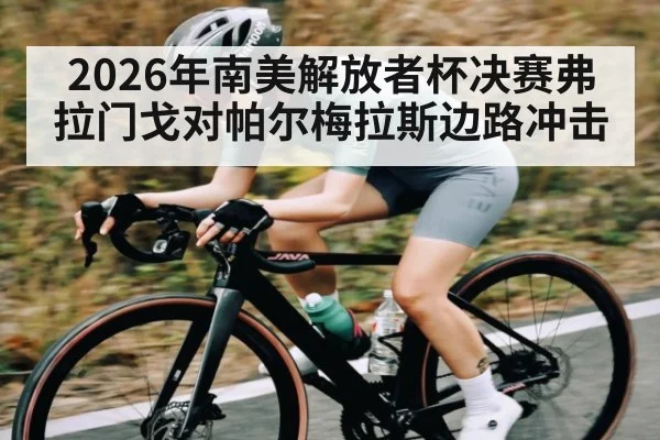 2026年南美解放者杯决赛弗拉门戈对帕尔梅拉斯边路冲击 - kaiyun app
